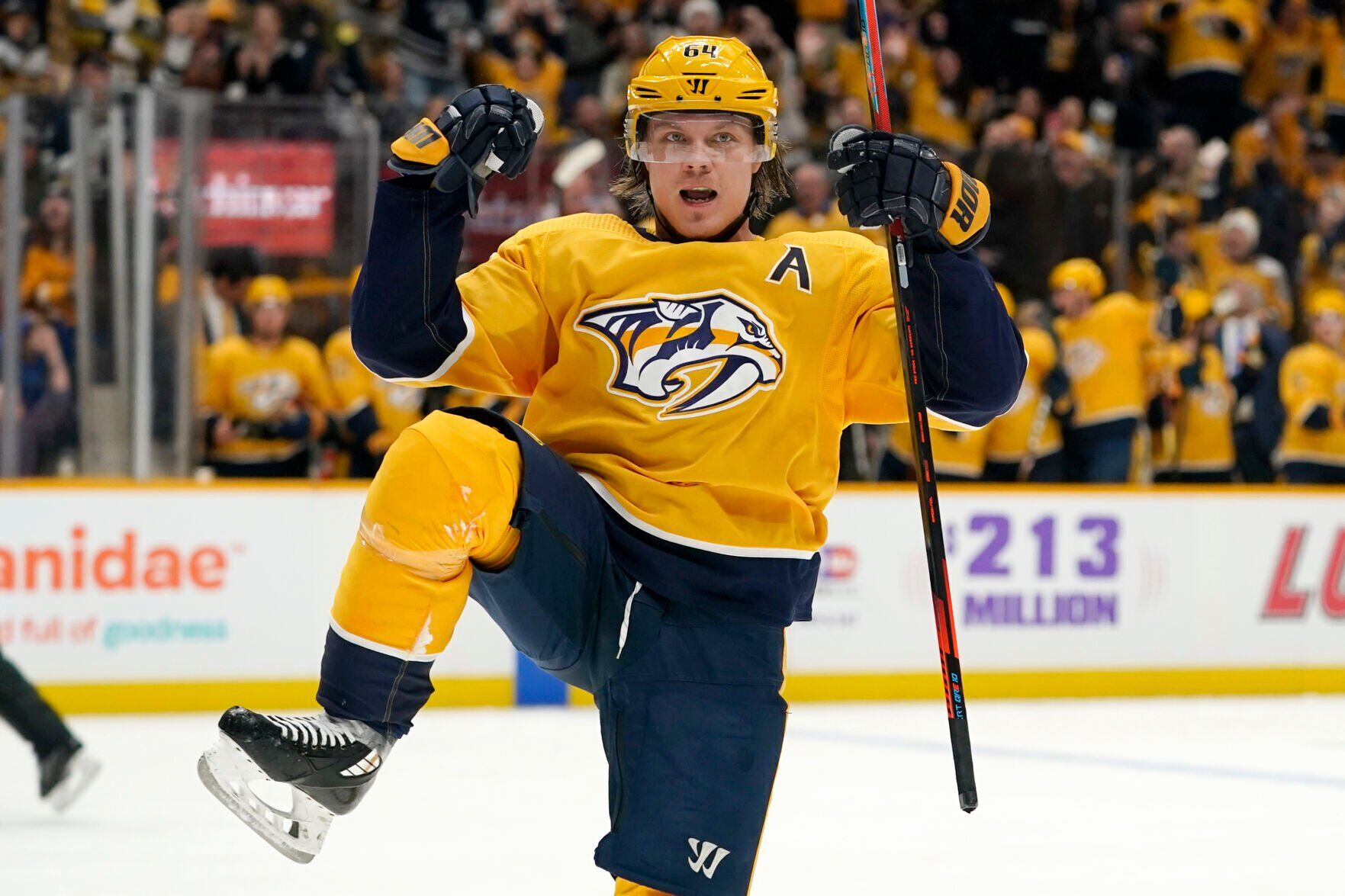 APTOPIX Ducks Predators Hockey